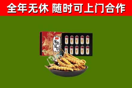 兴山区回收冬虫夏草价格